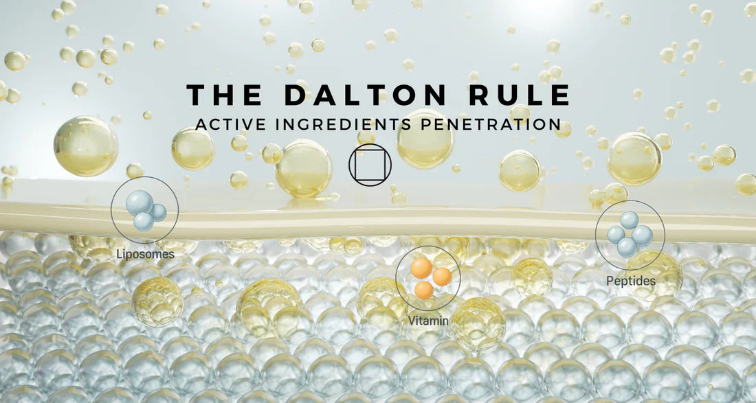 Beyond the 500 Dalton Rule: Key Considerations for Ingredient Penetration in Skincare Formulations